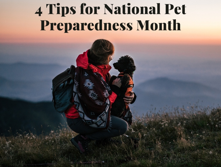 National Pet Preparedness Month Simsbury Veterinary Hospital